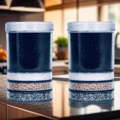 Cartouche de filtration ultimate Eva - lot de 2 